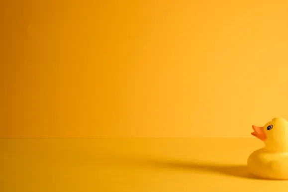 비 카지노 지원